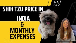 Shih tzu dog price in India 2022 and monthly expenses shihtzu dogvlog [upl. by Retsel]