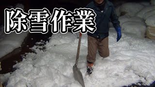 【上越にも今季最強寒波が来る？】大寒波、早めの除雪作業で大雪でも安心？！ [upl. by Aronael431]