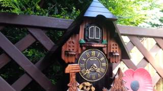 Stunning Acctim Cuckoo clock [upl. by Pattison654]