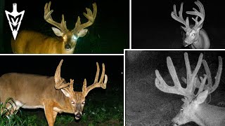 Best Bucks Of The 2023 Hunting Season hunting deerhunting [upl. by Natsreik]