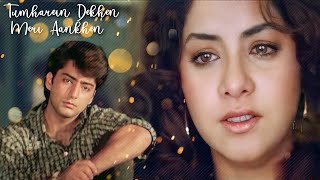 Tumhein Dekhe Meri  Rang 1993  Alka Yagnik  Kumar Sanu  P Sunanda  Sad Hindi Song [upl. by Hoffarth]