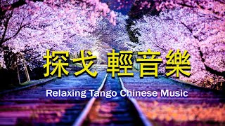 非常好听 👍 50首台語經典舞曲版【探戈台語金曲 】每天放鬆並理清思緒 高音質 輕音樂  放鬆解壓  禪修音樂 🎶 3D動向音樂 🎶 70、80、90年代街頭傳唱的100首歌曲 53 [upl. by Hcahsem419]