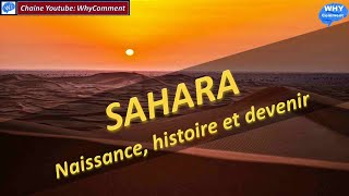 LE SAHARA COMMENT EST IL NÉ QUELLE EST SON HISTOIRE ET SON DEVENIR 10 [upl. by Eelnyl]