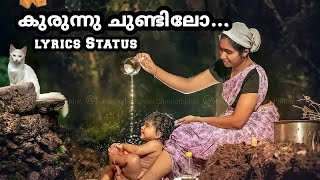 Kurunnu chundilo Lyrics Status MalayalamBlack background കുരുന്നു ചുണ്ടിലോ മലയാളം [upl. by Aelahs]