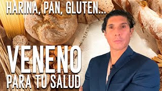 HARINA PAN GLUTEN VENENO PARA TU SALUD [upl. by Aligna544]