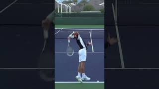 The Djokers Serve slow motion [upl. by Ziwot565]