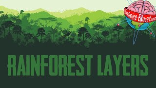 The 4 Layers of the Rainforest [upl. by Addiego439]