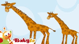 Giraffe  Animal Sounds and Names for Kids amp Toddlers BabyTV [upl. by Ahsilahk]