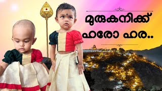 പഴനിമല ആണ്ടവന് മുടി സമർപ്പിച്ച് ധ്വനികൃഷ്ണ  MRIDVA [upl. by Lejeune344]