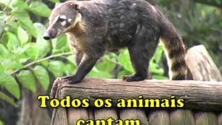 Todos os animais cantam [upl. by Rhyner313]