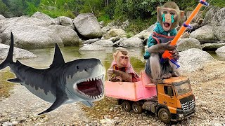 Best moments Little monkey Bim Bim meets a shark  Full version [upl. by Koren278]