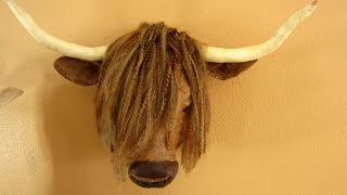 Highland Cow Faux Taxidermy Mount [upl. by Thun]