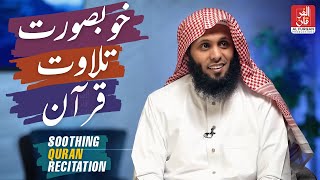 Soothing Quran Recitations  Ramadan The Month of Quran by Sheikh Mansour Al Salimi [upl. by Anol]