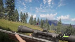 theHunter Call of the Wild  Hirschfelden Missions quotBhandari  Population Controlquot [upl. by Shien]