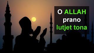 O Allah prano lutjet tona [upl. by Zanas]