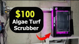 How to Build an Algae Turf Scrubber for 100  Freshwater amp Saltwater Aquariums [upl. by Ahsek]