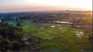 Ancient water tanks of Sri Lanka to adapt to a changing climate [upl. by Adalai272]