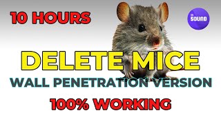 Mouse Repellent Noise  Wall penetration version No midroll Ads  Ultrasonic Rat Repellent Sound [upl. by Yrrag473]