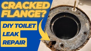 How to Repair a Leaking Toilet and Broken Flange  DIY Guide with Oatey Replacement Ring [upl. by Flemings]