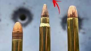 22LR vs 17 HMR vs 22 MAG Never Would’ve Guessed [upl. by Ahsekad]