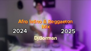 🔥🌴AFROLATINOREGGAETON MIX🌴🔥 20242025 BEÉLEKAPOREMABOZAMALUMAFEIDDANNY OCEAN Y MÁS⚡️mixdj [upl. by Penrod563]