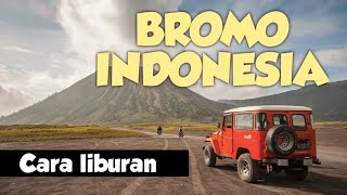 Tips dan Trik CARA LIBURAN ke GUNUNG BROMO Indonesia tutorial LENGKAP [upl. by Ailem635]