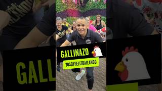 🐔 ¡Arriba gallinero yosoyfelizbailando [upl. by Tnahsarp]