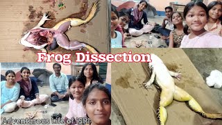 Frog dissectionclass11 biology practical [upl. by Kciderf]