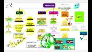 Participações societárias permanentes ANC Investimentos [upl. by Orvas]