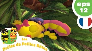 DRÔLES DE PETITES BÊTES  EP12  La colère de la Reine [upl. by Yasdnyl]