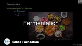 Fermentation Biology Lecture  Sabaqpk [upl. by Carolyne]