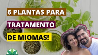 6 plantas para o tratamento de miomas Trate miomas de forma natural [upl. by Gnoy]