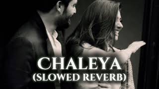 chaleya  slowed reverb [upl. by Hoebart]