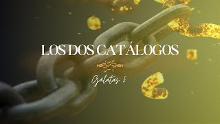 143  Los dos catálogos [upl. by Rtoip]