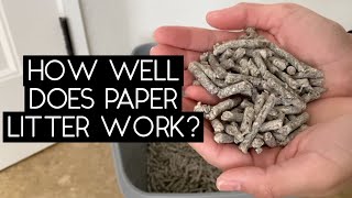 RECYCLED PAPER LITTER REVIEW  SVEN AND ROBBIE [upl. by Sumetra]