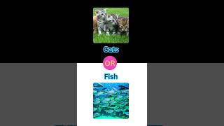 Cats OR Fish  What is Your Choice 🤔 shorts youtubeshorts ytshorts TheOQueen [upl. by Karlis]