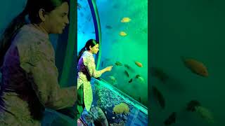 Fishy fishfish tunnel in Lucknow lucknow music newsong song reels indianband [upl. by Fillender]