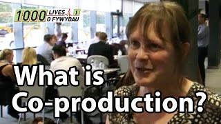 What is CoProduction [upl. by Adilen951]