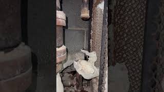 The process of replacing an old expansion joint hydronyc fyp [upl. by Chernow186]