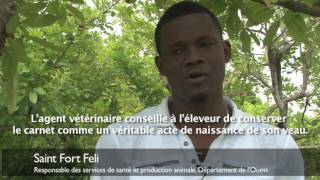 Pourquoi estil important d’identifier les vaches en Haïti [upl. by Yentnuoc]