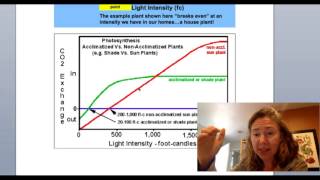 Light Intensity and Photosynthesis Photocompensation and light saturation Horticulture 101 Series [upl. by Service]