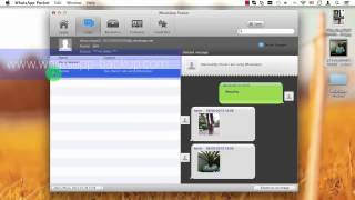 iPhone WhatsApp Recovery Extract WhatsApp Messages from iTunes Backup [upl. by Wane]