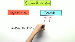 Chorea Huntington  Biologie  Genetik [upl. by Alekal]