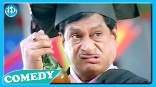 MS Narayana  All Time Hit Comedy Scenes [upl. by Lrad674]