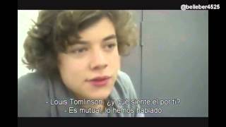 Larry Stylinson AnálisisPruebasEtc parte 1 [upl. by Lapides]