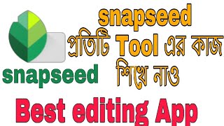 Snapseed প্রতিটি Tool এর কাজ শিখে নাও । How to edit Bengali [upl. by Annahs]