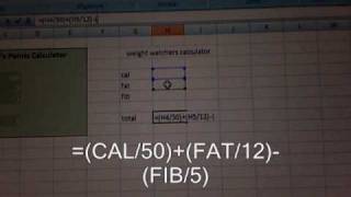How to Make Your Own Weight Watcher Calculator Using Excel [upl. by Mitzie]