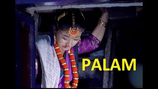 पालाम  थे पामा लुङ्वाManu Nembang amp Dilip phurumboPALAMYuma Official VIDEO [upl. by Reinald811]