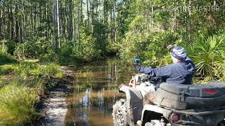 Swarthout OHV trailhead Osceola National Forest oct 28 2018 [upl. by Gaulin]