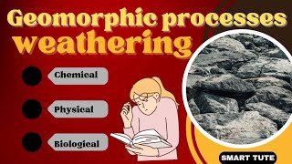 Weathering  Chemical Physical and Biological Weathering  Class 11 Chapter 6 Geomorphic Processes [upl. by Matilda538]